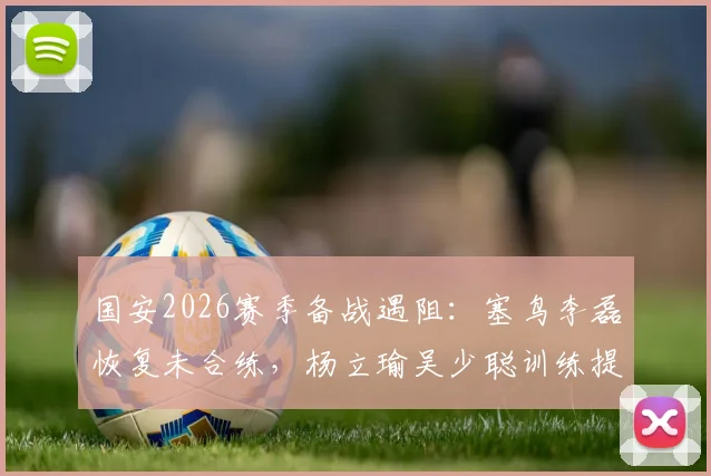 国安2026赛季备战遇阻:塞鸟李磊恢复未合练,杨立瑜吴少聪训练提前离场原因解析